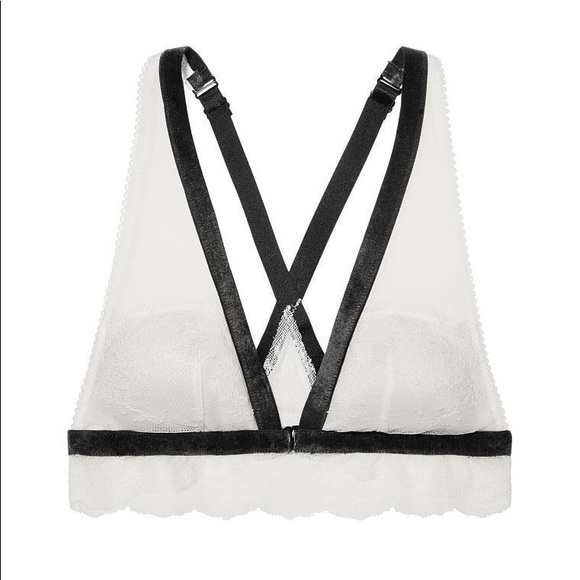 NEW! Velvet and Lace Padded Plunge Bralette! - Picture 6 of 6